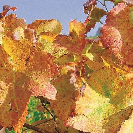 Weingut Alfred Huber Durbach Exterior foto