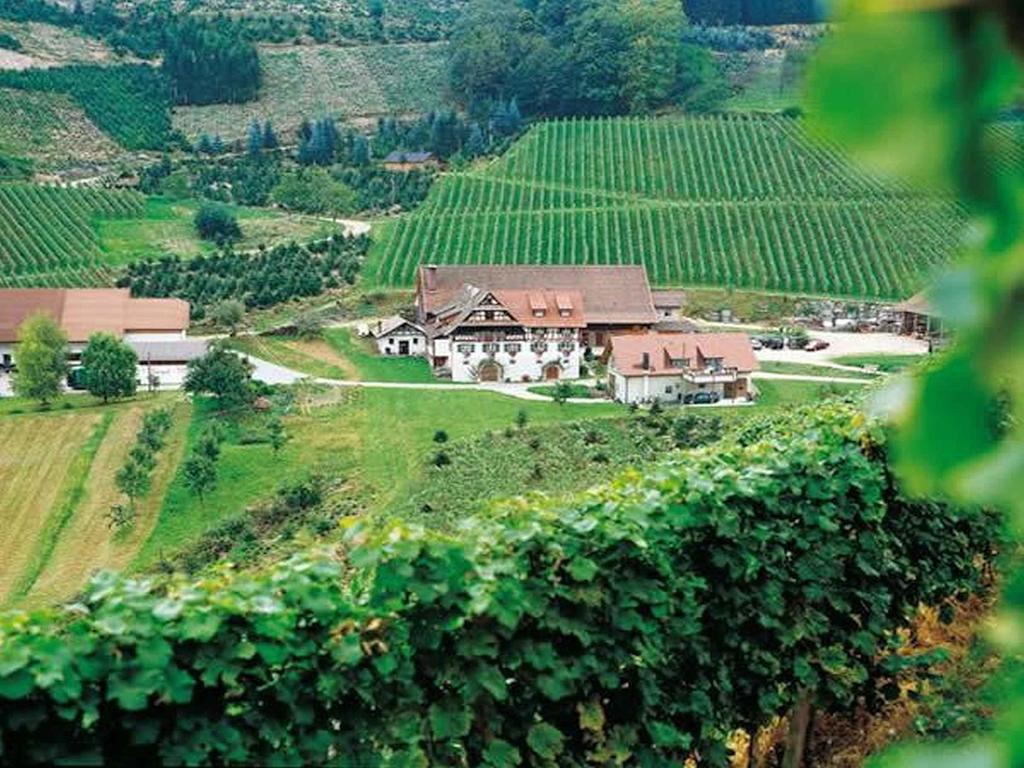 Weingut Alfred Huber Durbach Exterior foto